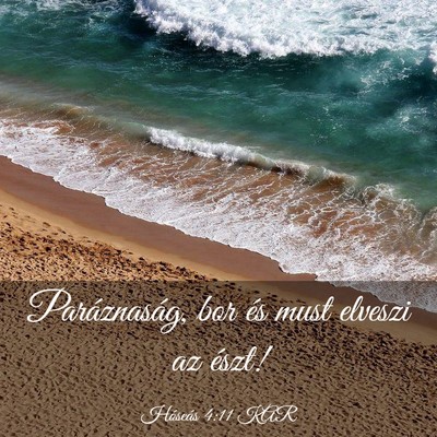 Picture 03 - Hóseás 4:11 KAR - Paráznaság, bor és must elveszi az - Bible Verse Picture