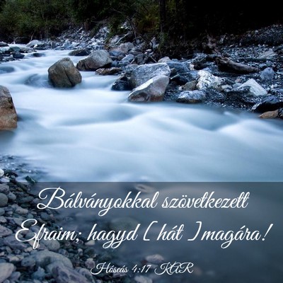 Picture 03 - Hóseás 4:17 KAR - Bálványokkal szövetkezett Efraim; hagyd [hát - Bible Verse Picture