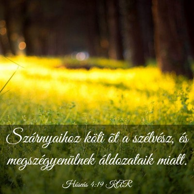 Picture 03 - Hóseás 4:19 KAR - Szárnyaihoz köti õt a szélvész, és - Bible Verse Picture