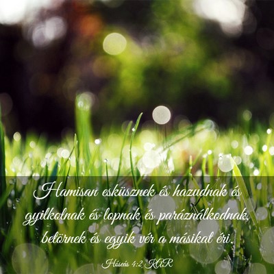 Picture 03 - Hóseás 4:2 KAR - Hamisan esküsznek és hazudnak és gyilkolnak - Bible Verse Picture