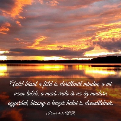 Picture 03 - Hóseás 4:3 KAR - Azért búsul a föld és elerõtlenül minden, a - Bible Verse Picture