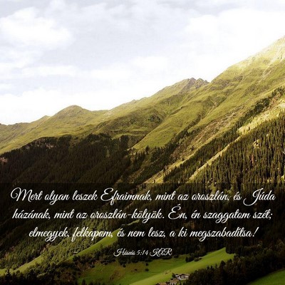 Picture 03 - Hóseás 5:14 KAR - Mert olyan leszek Efraimnak, mint az oroszlán, - Bible Verse Picture
