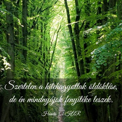 Picture 03 - Hóseás 5:2 KAR - Szertelen a hitehagyottak öldöklése, de én - Bible Verse Picture