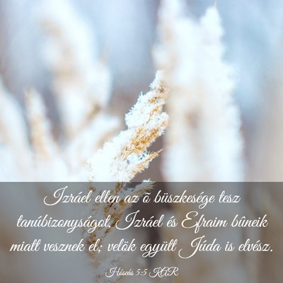 Picture 03 - Hóseás 5:5 KAR - Izráel ellen az õ büszkesége tesz - Bible Verse Picture