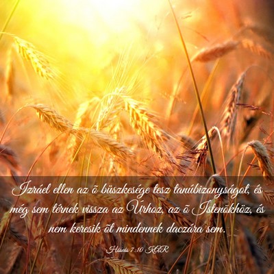 Picture 03 - Hóseás 7:10 KAR - Izráel ellen az õ büszkesége tesz - Bible Verse Picture