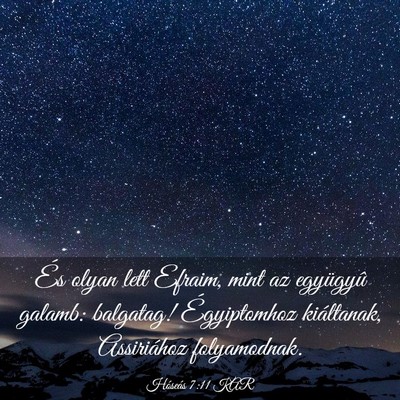 Picture 03 - Hóseás 7:11 KAR - És olyan lett Efraim, mint az együgyû galamb: - Bible Verse Picture