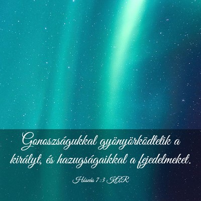 Picture 03 - Hóseás 7:3 KAR - Gonoszságukkal gyönyörködtetik a királyt, - Bible Verse Picture