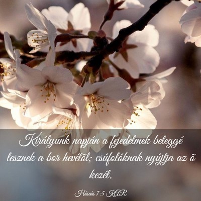 Picture 03 - Hóseás 7:5 KAR - Királyunk napján a fejedelmek beteggé lesznek - Bible Verse Picture