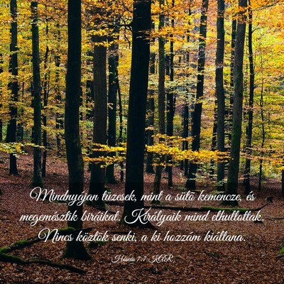 Picture 03 - Hóseás 7:7 KAR - Mindnyájan tüzesek, mint a sütõ kemencze, és - Bible Verse Picture