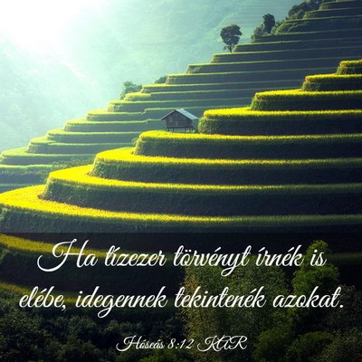 Picture 03 - Hóseás 8:12 KAR - Ha tízezer törvényt írnék is elébe, - Bible Verse Picture