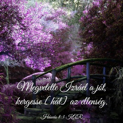 Picture 03 - Hóseás 8:3 KAR - Megvetette Izráel a jót, kergesse [hát] az - Bible Verse Picture