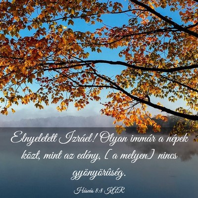 Picture 03 - Hóseás 8:8 KAR - Elnyeletett Izráel! Olyan immár a népek közt, - Bible Verse Picture