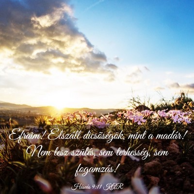 Picture 03 - Hóseás 9:11 KAR - Efraim! Elszáll dicsõségök, mint a madár! - Bible Verse Picture