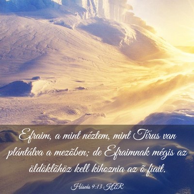Picture 03 - Hóseás 9:13 KAR - Efraim, a mint néztem, mint Tírus van - Bible Verse Picture
