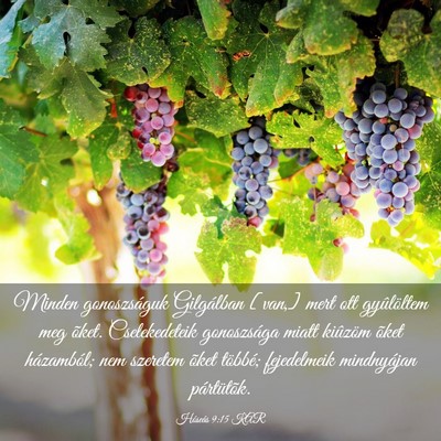 Picture 03 - Hóseás 9:15 KAR - Minden gonoszságuk Gilgálban [van,] mert ott - Bible Verse Picture
