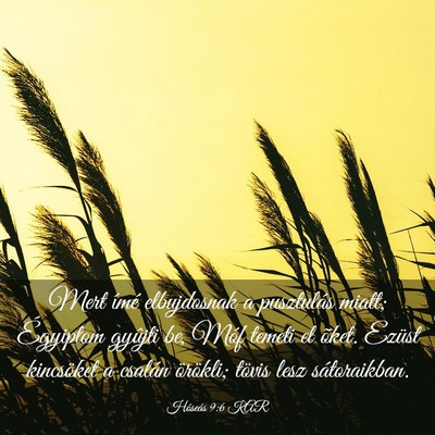 Picture 03 - Hóseás 9:6 KAR - Mert ímé elbujdosnak a pusztulás miatt; - Bible Verse Picture