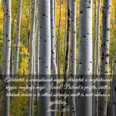 Picture 03 - Hóseás 9:7 KAR - Elérkeztek a számadásnak napjai; elérkeztek a - Bible Verse Picture