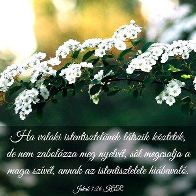 Picture 03 - Jakab 1:26 KAR - Ha valaki istentisztelõnek látszik köztetek, - Bible Verse Picture