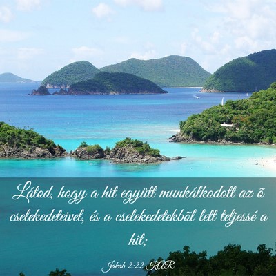 Picture 03 - Jakab 2:22 KAR - Látod, hogy a hit együtt munkálkodott az õ - Bible Verse Picture