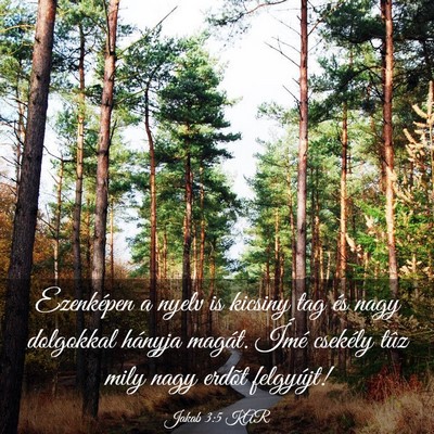 Picture 03 - Jakab 3:5 KAR - Ezenképen a nyelv is kicsiny tag és nagy - Bible Verse Picture