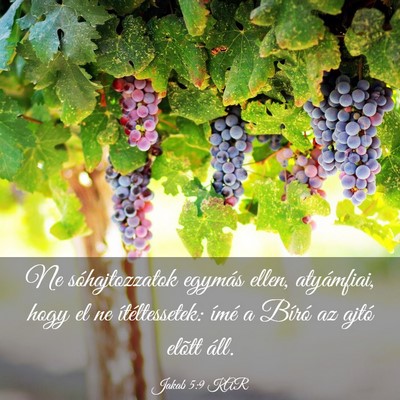 Picture 03 - Jakab 5:9 KAR - Ne sóhajtozzatok egymás ellen, atyámfiai, hogy - Bible Verse Picture