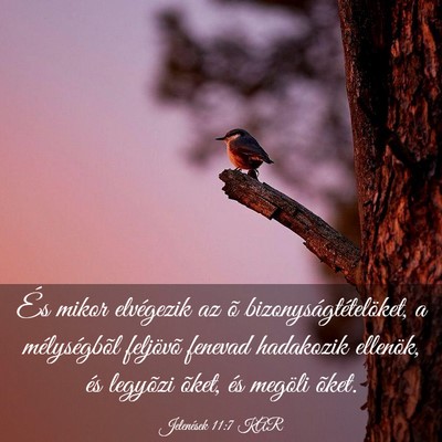 Picture 03 - Jelenések 11:7 KAR - És mikor elvégezik az õ bizonyságtételöket, - Bible Verse Picture