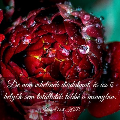Picture 03 - Jelenések 12:8 KAR - De nem vehetének diadalmat, és az õ helyök - Bible Verse Picture
