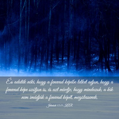 Picture 03 - Jelenések 13:15 KAR - És adaték néki, hogy a fenevad képébe lelket - Bible Verse Picture
