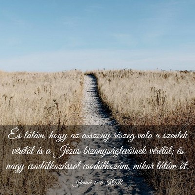 Picture 03 - Jelenések 17:6 KAR - És látám, hogy az asszony részeg vala a - Bible Verse Picture