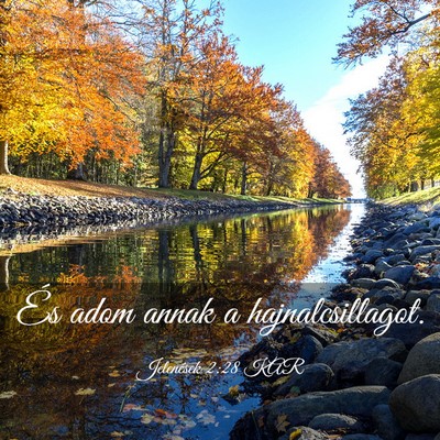 Picture 03 - Jelenések 2:28 KAR - És adom annak a - Bible Verse Picture