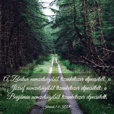 Picture 03 - Jelenések 7:8 KAR - A Zebulon nemzetségébõl tizenkétezer - Bible Verse Picture