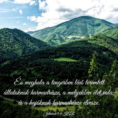 Picture 03 - Jelenések 8:9 KAR - És meghala a tengerben lévõ teremtett - Bible Verse Picture