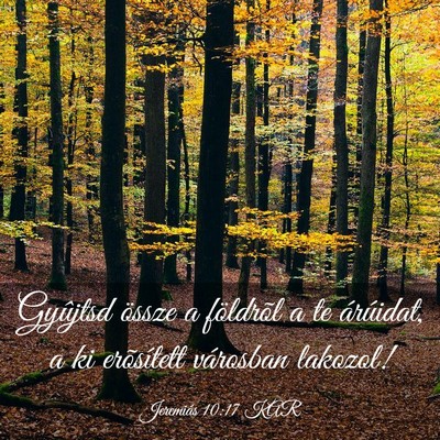 Picture 03 - Jeremiás 10:17 KAR - Gyûjtsd össze a földrõl a te árúidat, a ki - Bible Verse Picture