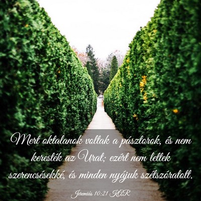 Picture 03 - Jeremiás 10:21 KAR - Mert oktalanok voltak a pásztorok, és nem - Bible Verse Picture