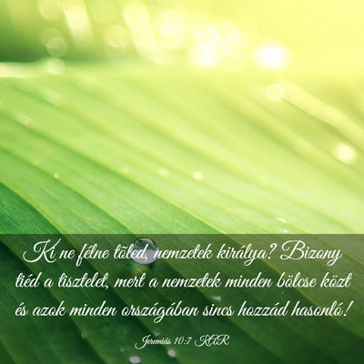 Picture 03 - Jeremiás 10:7 KAR - Ki ne félne tõled, nemzetek királya? Bizony - Bible Verse Picture