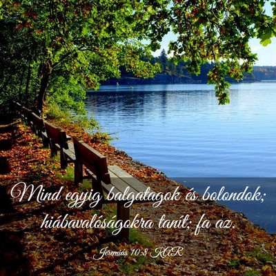 Picture 03 - Jeremiás 10:8 KAR - Mind egyig balgatagok és bolondok; - Bible Verse Picture