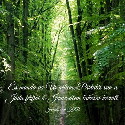 Picture 03 - Jeremiás 11:9 KAR - És monda az Úr nékem: Pártütés van a Júda - Bible Verse Picture