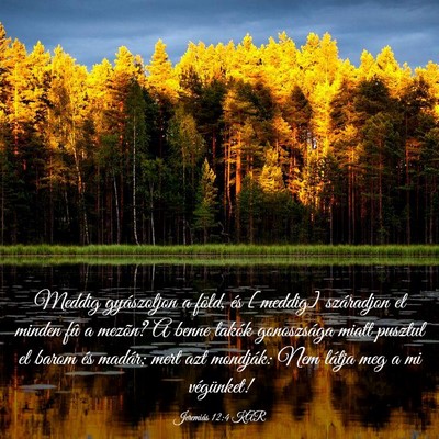 Picture 03 - Jeremiás 12:4 KAR - Meddig gyászoljon a föld, és [meddig] - Bible Verse Picture