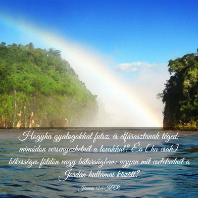 Picture 03 - Jeremiás 12:5 KAR - Hogyha gyalogokkal futsz, és elfárasztanak - Bible Verse Picture