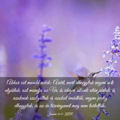 Picture 03 - Jeremiás 16:11 KAR - Akkor ezt mondd nékik: Azért, mert elhagytak - Bible Verse Picture