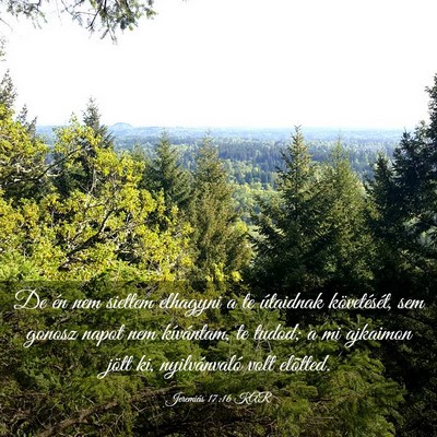 Picture 03 - Jeremiás 17:16 KAR - De én nem siettem elhagyni a te útaidnak - Bible Verse Picture