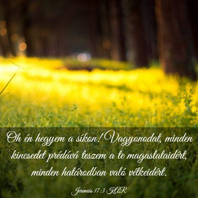Picture 03 - Jeremiás 17:3 KAR - Oh én hegyem a síkon! Vagyonodat, minden - Bible Verse Picture