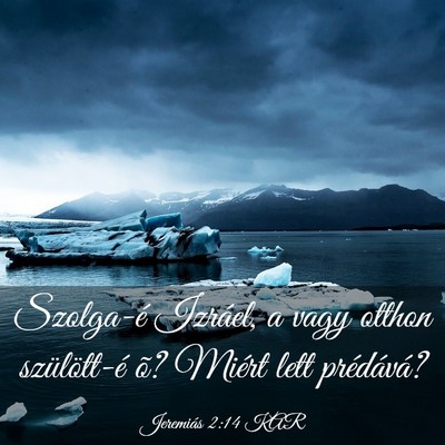 Picture 03 - Jeremiás 2:14 KAR - Szolga-é Izráel, a vagy otthon szülött-é õ? - Bible Verse Picture