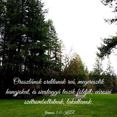 Picture 03 - Jeremiás 2:15 KAR - Oroszlánok ordítanak reá, megeresztik - Bible Verse Picture