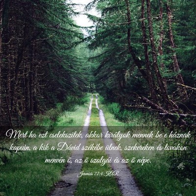 Picture 03 - Jeremiás 22:4 KAR - Mert ha ezt cselekszitek, akkor királyok mennek - Bible Verse Picture
