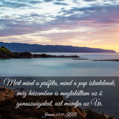 Picture 03 - Jeremiás 23:11 KAR - Mert mind a próféta, mind a pap istentelenek, - Bible Verse Picture