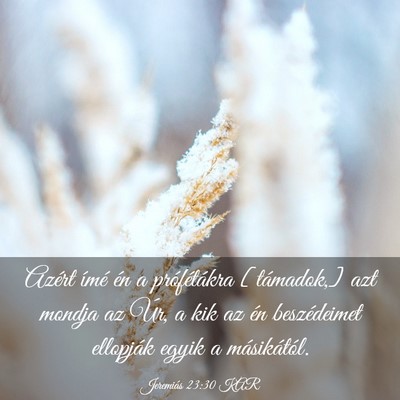 Picture 03 - Jeremiás 23:30 KAR - Azért ímé én a prófétákra [támadok,] azt - Bible Verse Picture