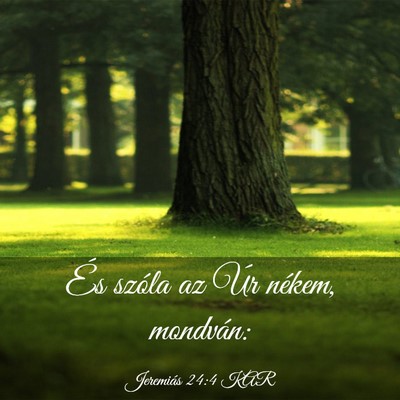 Picture 03 - Jeremiás 24:4 KAR - És szóla az Úr nékem, - Bible Verse Picture
