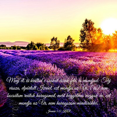 Picture 03 - Jeremiás 3:12 KAR - Menj el, és kiáltsd e szókat észak felé, és - Bible Verse Picture