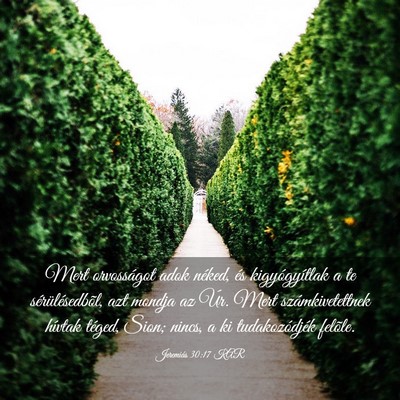 Picture 03 - Jeremiás 30:17 KAR - Mert orvosságot adok néked, és kigyógyítlak - Bible Verse Picture